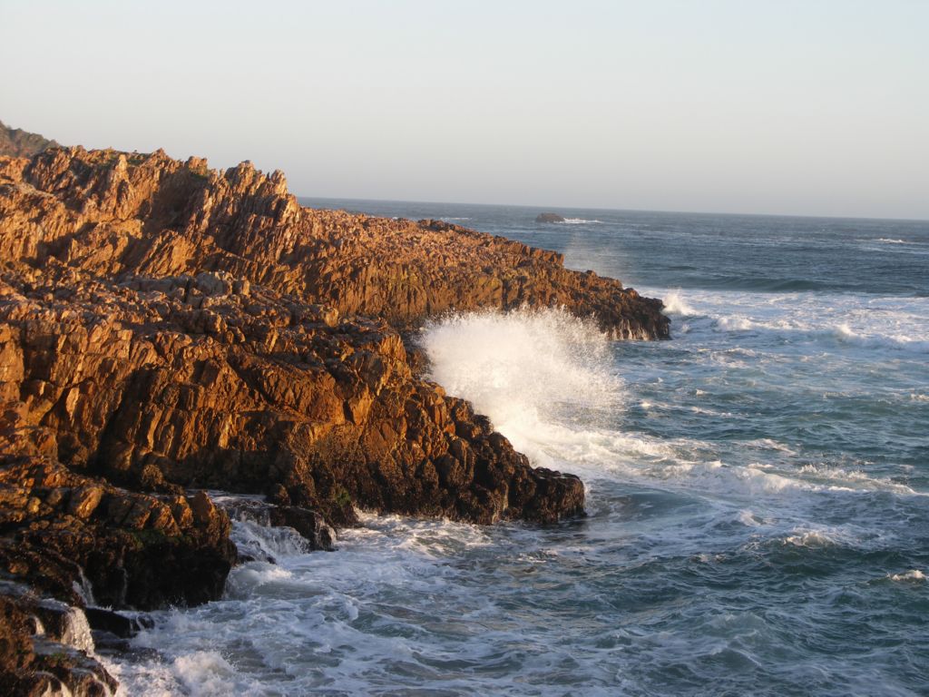 brenton on sea
